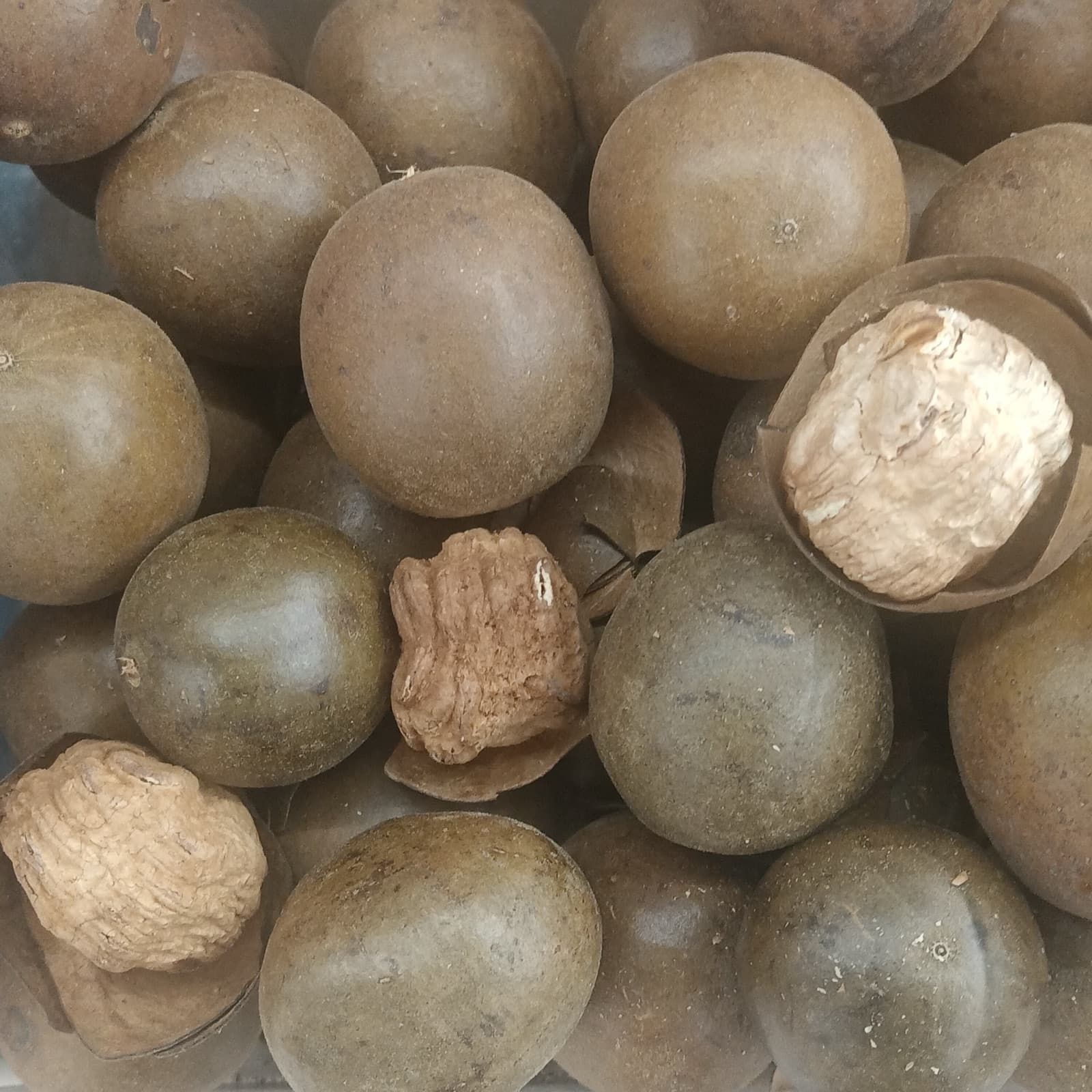 Monk Fruit 101: The 800-Year-Old Chinese Fruit That's 200x Sweeter Than Sugar